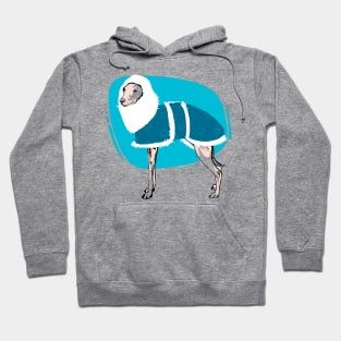 Whippet Dog lover on blue coat Hoodie